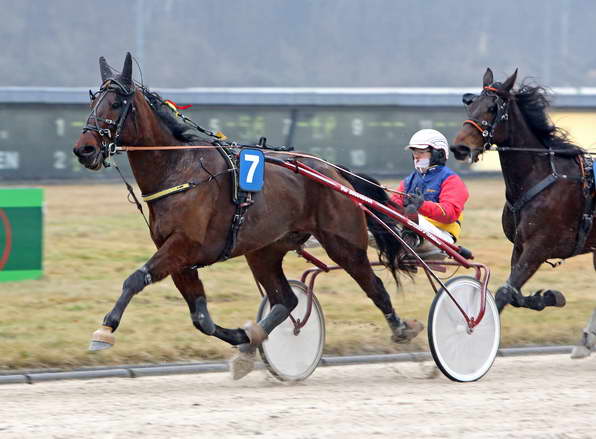 Fibonacci und Jules van den Putte hatten das Heft beim Gelsentrab-Deb&uuml;t im Februar fest in der Hand - Foto: &copy; by Foto-Agentur Sabine Sexauer