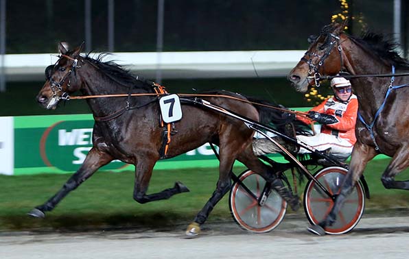 Toscanini Font (7) kam zu Beginn des Monats in der Hand von Trainer Henk Grift zu einem sicheren Sieg - &copy; traberfoto-sx