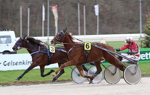 Gamine Newport und der fast komplett verdeckte Michael Nimczyk verteidigen im &raquo;ELE-Weihnachts-Pokal&laquo; einen hauchd&uuml;nnen Vorteil gegenn Lotus Star (Tim Schwarma) - &copy; traberfoto-sx