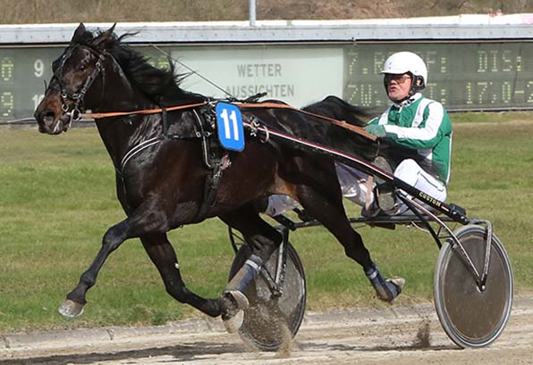 Paul Kuhstr&auml;ter und sein Kantadou stehen in der Er&ouml;ffnungspartie vor keiner leichten Aufgabe - &copy; traberfoto-sx