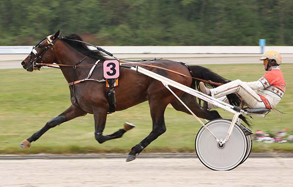 Meldet sich aus einer viermonatigen Pause zur&uuml;ck: Mister Ed Heldia (Michael Nimcyzk) - &copy; traberfoto-sx