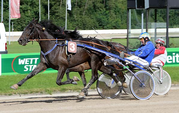 Makalo (hier mit Erwin Bot) tritt beim Deutschland-Comeback als Seriensieger an - © traberfoto-sx