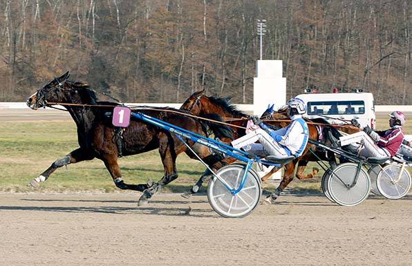 Freedom Fighter (1 / Jaap van Rijn) und Mr Bathuan Byd (Mitte / Robbin Bot) sprinten an der lange führenden Twinkle Face (Michael Nimcyzk) vorbei - © traberfoto-sx