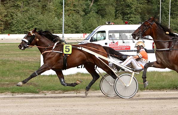 Beginnt das neue Rennjahr in Gelsenkirchen: Mister Ed Heldia (Michael Nimczyk) - © traberfoto-sx