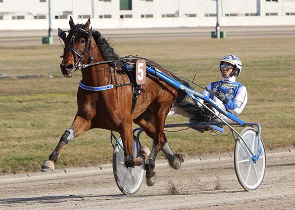 Samson Ris und Jaap van Rijn beeindruckten beim letzten Start - © traberfoto-sx