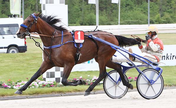 Cash Hanover und Michael Nimczyk bei ihrem Sieg im »Bild-Pokal 2017« - © traberfoto-sx