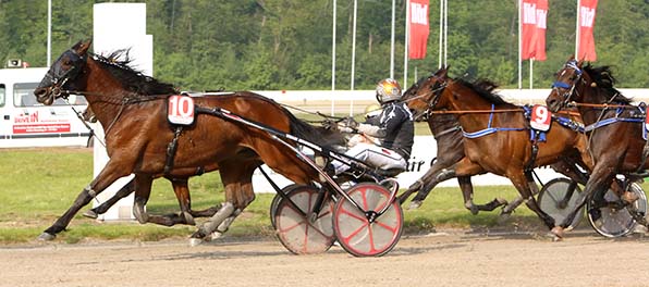 Mitreißendes Finale: Gustafson (Rick Ebbinge) holte sich den letzten »Bild-Pokal« 2019 - © traberfoto-sx