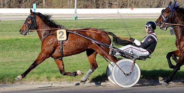 Lordano Ass (Simon Siebert) tritt in Topform an - © traberfoto-sx