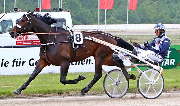 Für Muskelspiele offensichtlich bestens gerüstet: UBetterWin Diamant (hier mit Robbin Bot) - © traberfoto-sx