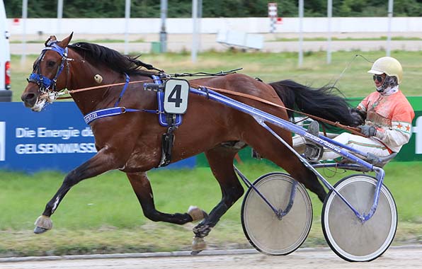 Mit Schaum vor dem Mund: Gladiateur (Michael Nimczyk) stürmt zum »St. Leger«-Sieg - © traberfoto-sx