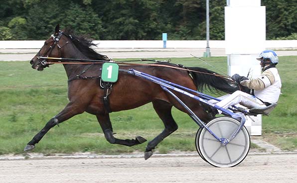 Thomas Panschow steuert Jersey Muscles im »Kleinen Leger« überraschend zum ersten Karriere-Erfolg - © traberfoto-sx