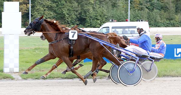 Sensation: in einem dramatischen Finale setzt sich Außenseiter Kobra Haleryd (Daniel Kloß) gegen die Favoriten Kissing Diamond (Tim Schwarma) und I’ll be there (Rob de Vlieger) durch - © traberfoto-sx