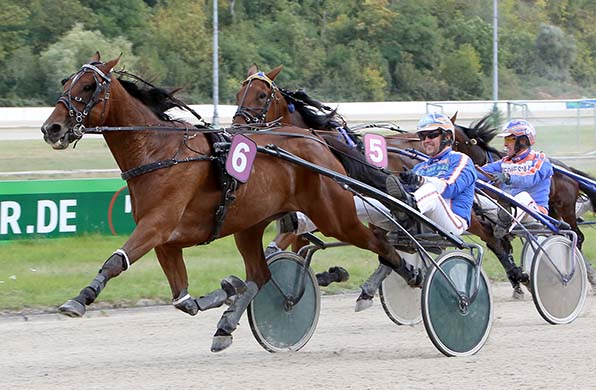 In Topform: Mr Bathuan Byd und ein offensichtlich gut gelaunter Jan Thijs de Jong - © traberfoto-sx