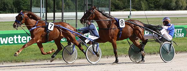 Am Ende eines erbitterten Zweikampfs behält Volare Gar (7/Robbin Bot) gegen Mr Bathuan Byd (8/Jan Thijs de de Jong) knapp die Oberhand - © traberfoto-sx