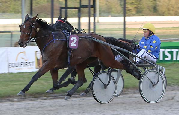 Hugo Langeweg jr. steuerte Billie de Montfort im letzten Jahr zum »Grand Prix«-Sieg - © traberfoto-sx