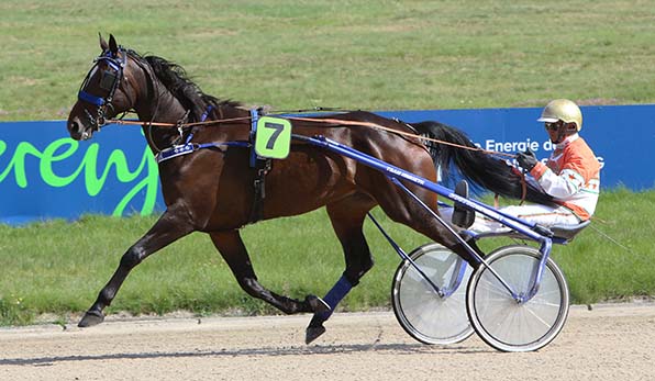 Tipp des Tages: UBetterWin Diamant (Michael Nimczyk) - © traberfoto-sx