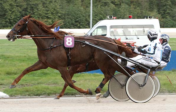 Im Duell der Fuchsstuten setzt sich C’est La Vie C (Stefan Schoonhoven) nach langem Kampf gegen die hier weitgehend verdeckte Kiss Me Bo (Robbin Bot) durch - © traberfoto-sx
