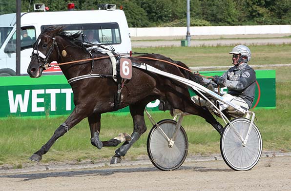 Harmonieren gut miteinander: Khalid und Roland Hülskath - © traberfoto-sx; 