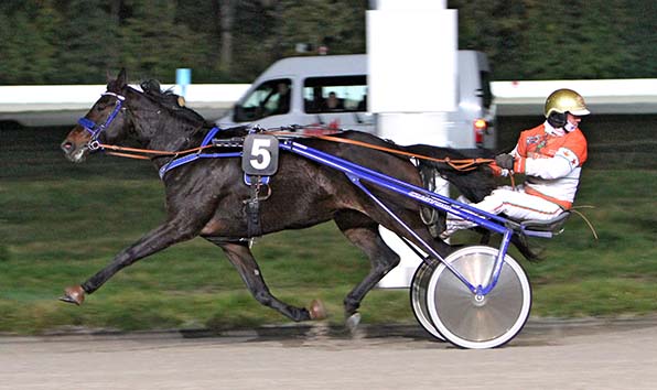 Wo sind sie denn? – Michael Nimczyk ist mit Hercules Petnic überlegen - © traberfoto-sx