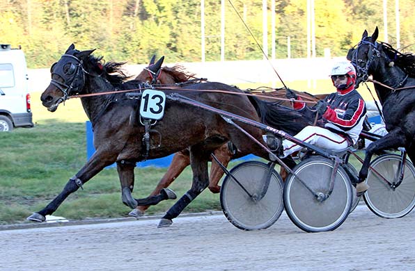 Nick Schwarma überrascht mit der 28,6:1-Außenseiterin Sternschnuppe Poet - © traberfoto-sx
