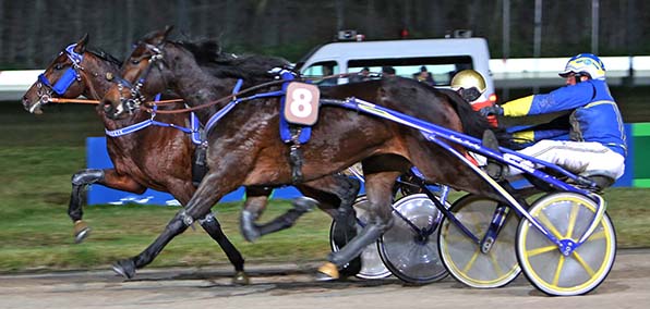 In einem hoch spannenden Finale fängt Arquana As (8/Erwin Bot) den müden Mister Ed Heldia (Michael Nimczyk) noch ab - © traberfoto-sx