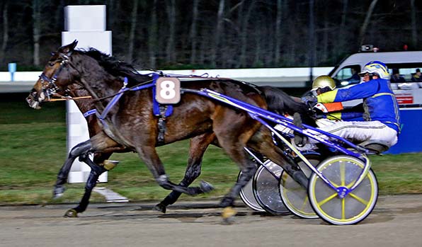 Arquana As (Erwin Bot) setzte mit ihrem Speederfolg gegen Mister Ed Heldia zuletzt ein Ausrufezeichen - © traberfoto-sx
