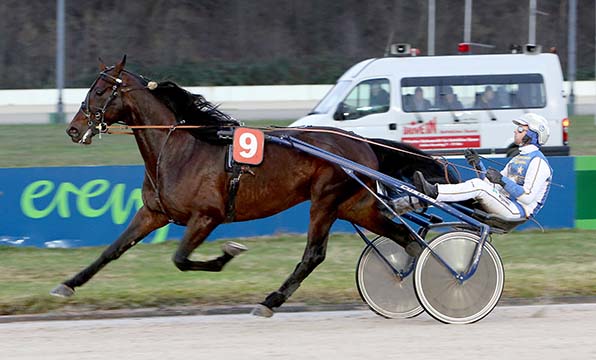 Mit geschulterter Peitsche: Jaap van Rijn ist mit Halva von Haitahbu allein auf weiter Flur  - © traberfoto-sx