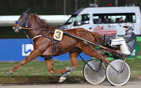 Iron Fox (Roland Hülskath) war beim Saisoneinstang überlegen voraus - © traberfoto-sx