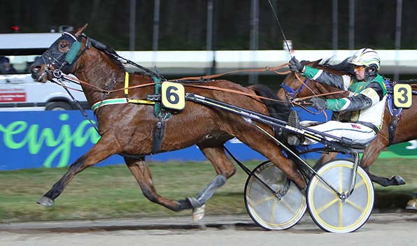 Ein Erfolgs-Duo: Etorix und Reinier Feelders - © traberfoto-sx