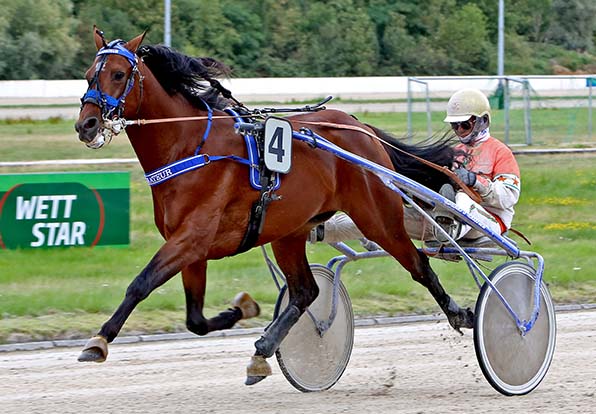 Gladiateur (hier mit Michael Nimczyk) muss gegen ältere Konkurrenten ran - © traberfoto-sx