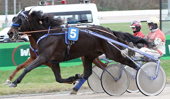 Honesty Newport Michael Nimczyk behauptet sich gegen Kiss Me Bo (Eline Janssen) - © traberfoto-sx