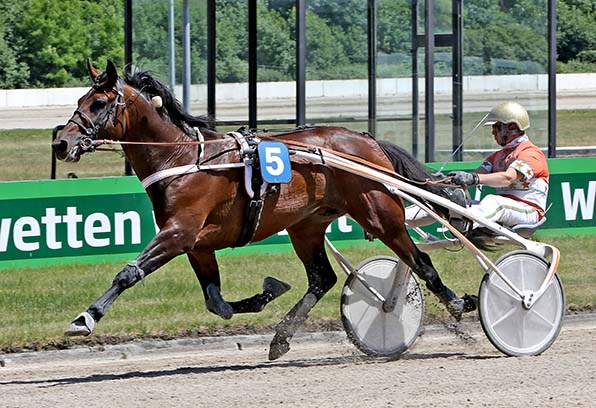 Mister Ed Heldia und Michael Nimczyk müssen auf den letzten Metern keine Gegner mehr fürchten - © traberfoto-sx