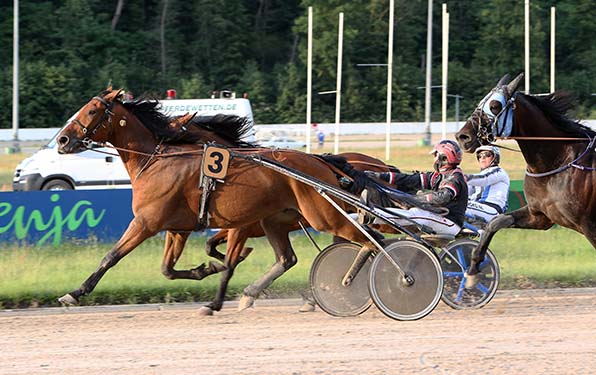 Dean Bros (Jeffrey Mieras) setzt sich gegen Super Queen C (Stefan Schoonhoven) und Urbanio (außen) durch - © traberfoto-sx