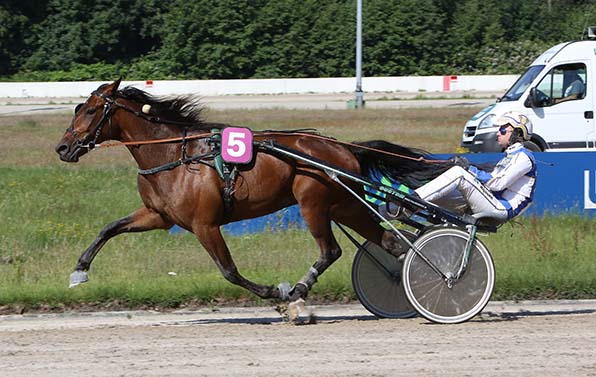 Jo Black (Jaap van Rijn) »spaziert« zum fünften Sieg in Serie - © traberfoto-sx