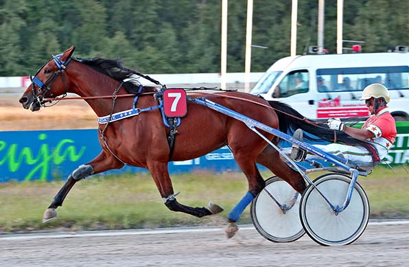 »Stutenderby«-Siegerin La Grace (Michael Nimczyk) peilt den ersten Jahreserfolg an - © traberfoto-sx