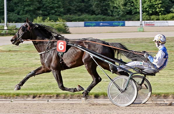 In der Form vom Februar schwer zu schlagen: Noubliez jamais (hier mit Jaap van Rijn) - © traberfoto-sx