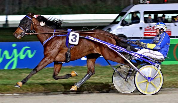 Waren im Januar auch schon in Gelsenkirchen erfolgreich: Aragorn As und Erwin Bot - © traberfoto-sx
