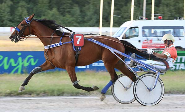 La Grace (Michael Nimczyk) strebt den dritten Sieg in Serie an - © traberfoto-sx