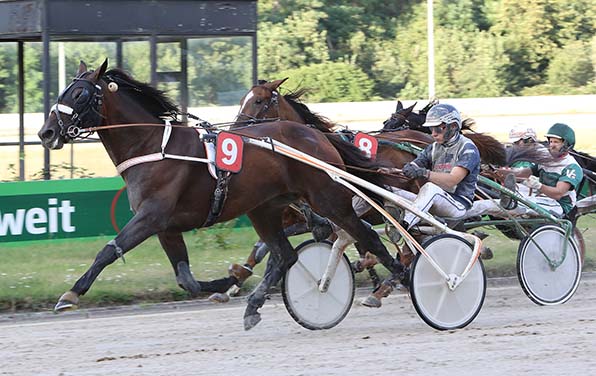 Mister Ed Heldia und Robbin Bot überraschen im »Frei für alle« - © traberfoto-sx