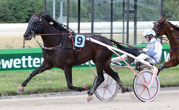 Noch Fragen? – Velten von Flevo (Jaap van Rijn) beeindruckt beim Comeback - © traberfoto-sx
