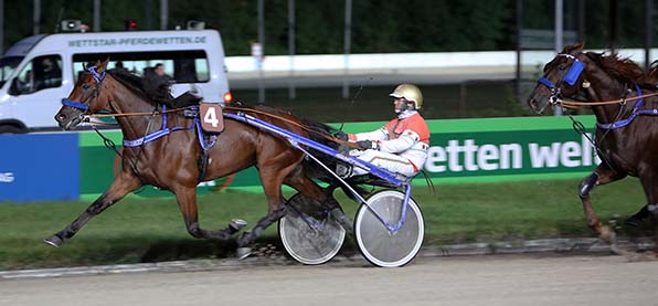 Empfahl sich für die »Breeders Crown«: Marylin Monroe Bo (Michael Nimczyk) - © traberfoto-sx