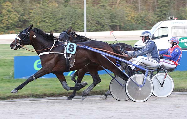 Sicher: Mister Ed Heldia (Robbin Bot) setzt sich gegen Durk M Boko (Frans van der Blonk) durch - © traberfoto-sx