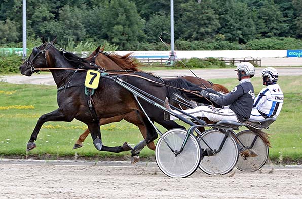 Noubliez jamais (hier mit Roland Hülskath) tritt am Montag erstmals mit Jochen Holzschuh im Sulky an - © traberfoto-sx