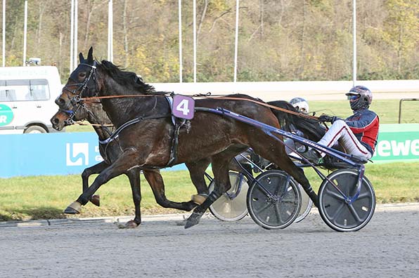 In einem spannenden Finish behauptet sich Gian Luca Pasel (4/Marciano Hauber) gegen Hercules Petnic (Robbin Bot) - © traberfoto-sx