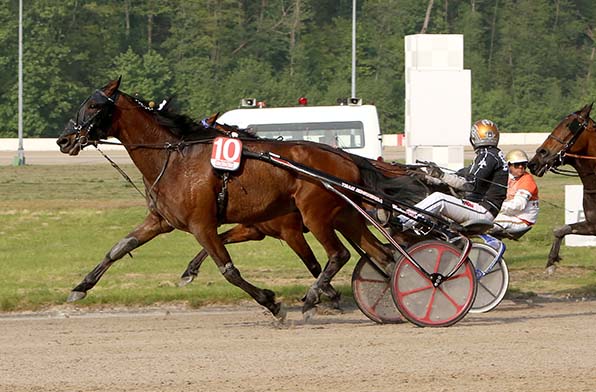 Gustafson und Rick Ebbinge beim Triumph im »Bild-Pokal 2019« - © traberfoto-sx