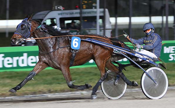 Erster Jahressieg: Napster (Jochen Holzschuh) - © traberfoto-sx