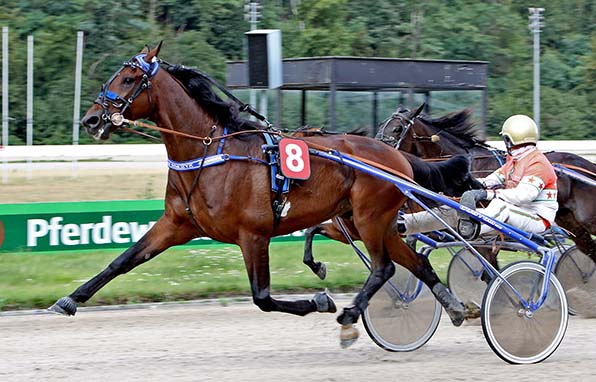 In Gelsenkirchen bisher unschlagbar: Emilion (Michael Nimcyzk) - © traberfoto-sx