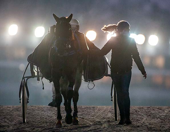 Michael Nimczyk kehrt fünf Mal als Sieger ins Stallgelände zurück - © Jan Melichar/GelsenTrabPark