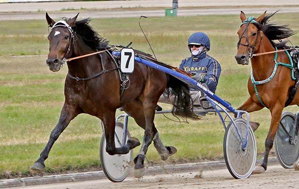 Itseblitz (Jochen Holzschuh) peilt den ersten Saisonsieg an - © traberfoto-sx