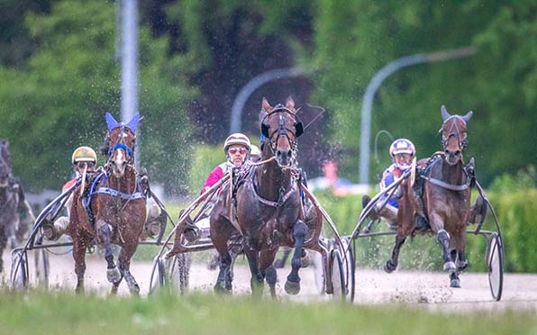 SALTIMORE (Constantin Vergos) läuft der starken Konkurrenz auf und davon - © Jan Melichar/GelsenTrabPark